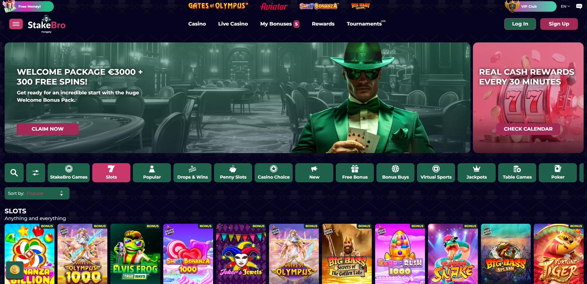 StakeBro Casino Überblick